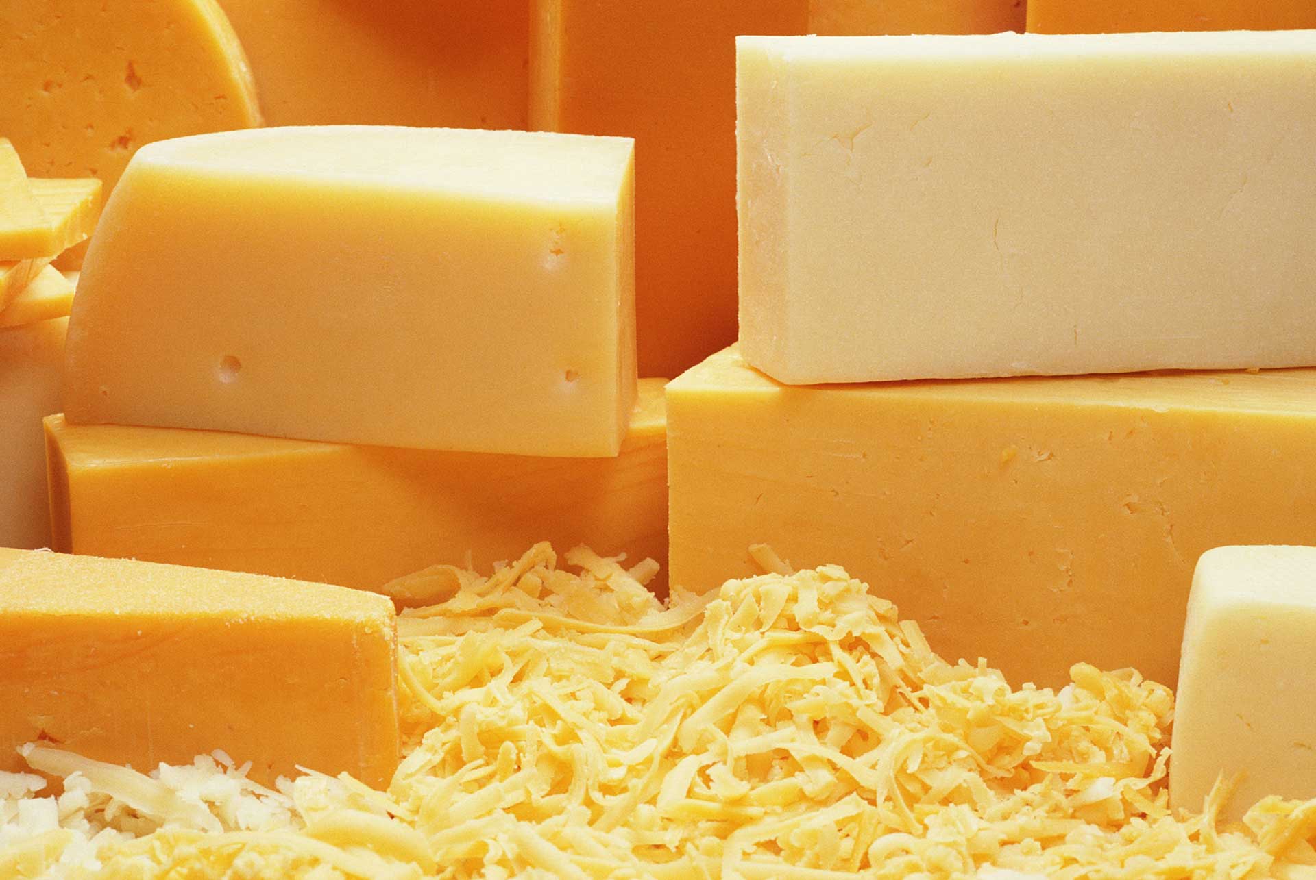 Featured image for “Laticínios Belluno”