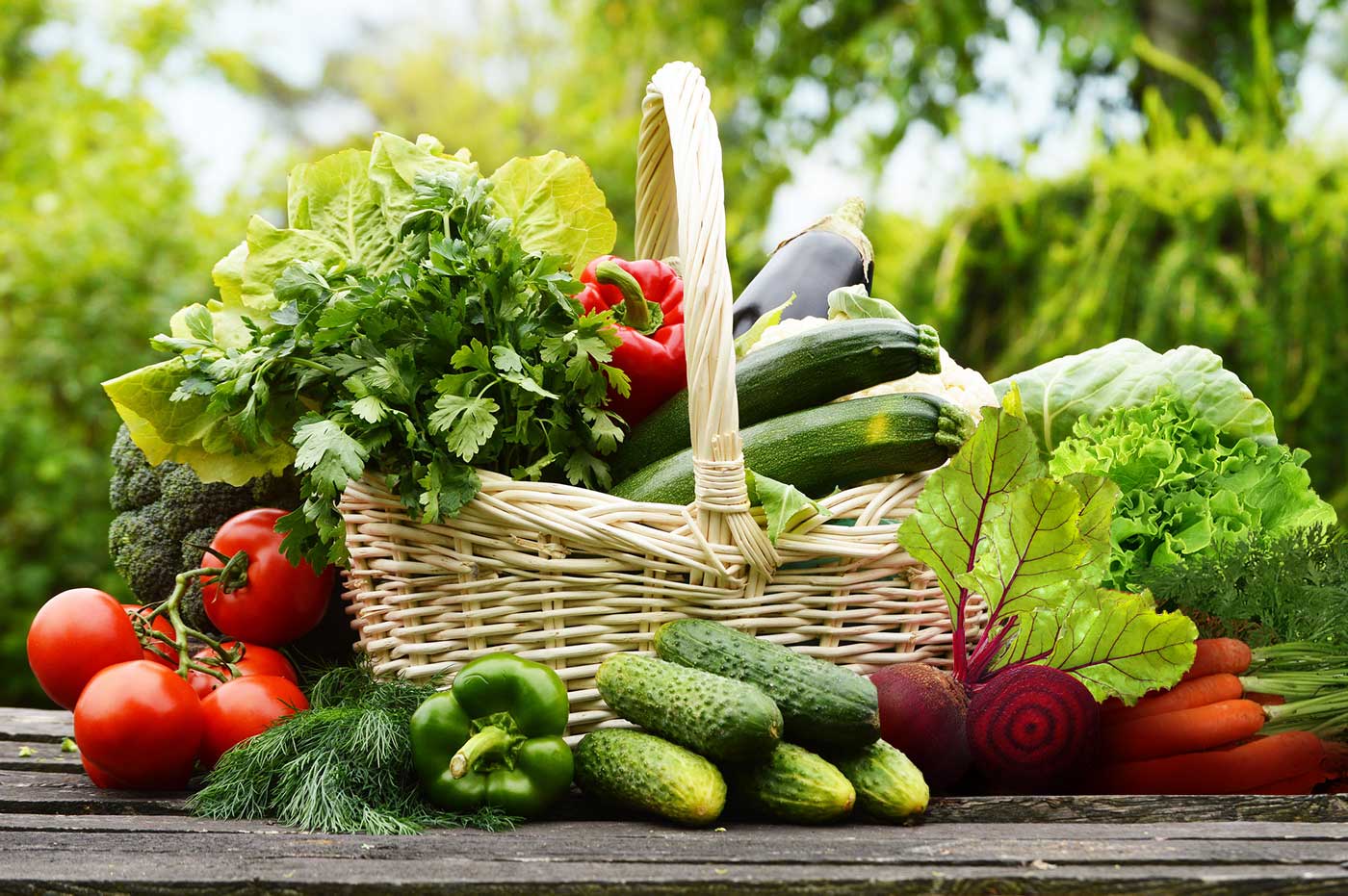 Featured image for “Produtos Orgânicos Joelmo”